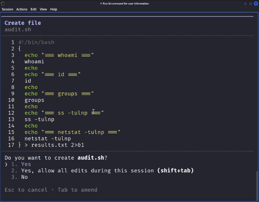 Write tool creating audit.sh with denied commands